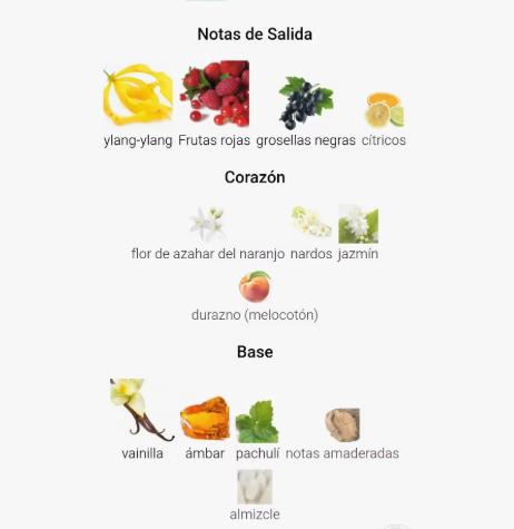 Notas de Lolita: ylang-ylang, frutos rojos, flor de azahar, jazmín, vainilla y ámbar.